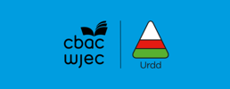 Ydych chi am ymuno â ni yn Eisteddfod Genedlaethol yr Urdd 2023?