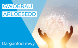 Gwobrau Arloesedd