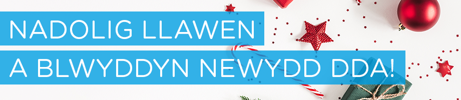 Nadolig Llawen a Blwyddyn Newydd Dda